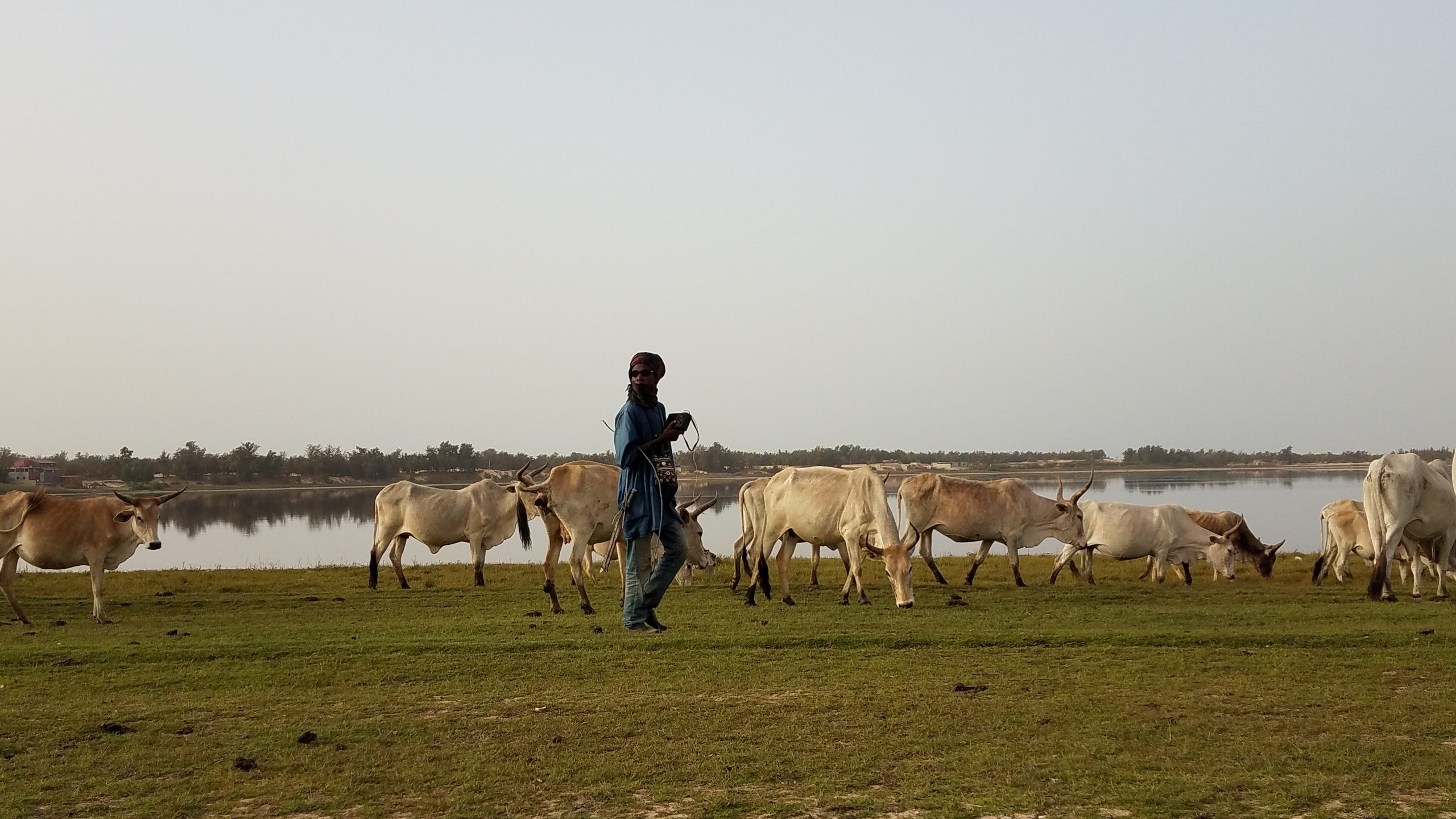 Soutenir le pastoralisme dans la région du Sahel